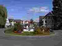 UMZUG ALLSCHWIL L�scher Umz�ge Bild 1