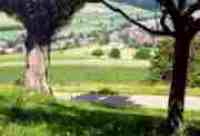 UMZUG ARISDORF BILD 3