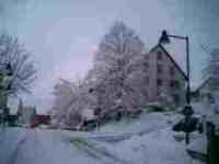 UMZUG BIEL-BENKEN BILD 6