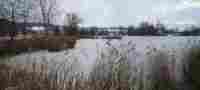 UMZUG BONSTETTEN BILD 3