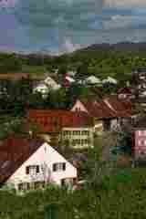 umzug Diegten bild