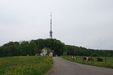 umzugsfirma dulliken umzug dulliken bild
