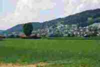 umzugsfirma egolzwil umzug egolzwil bild
