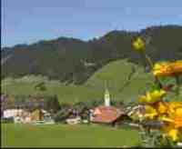 umzug hasle-lu l�scher