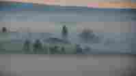umzug H�ri bild