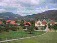 UMZUG Kestenholz Bild 3