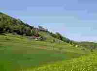 umzug Lostorf bild