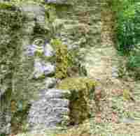 UMZUG M�GENWIL Bild 1