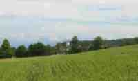 UMZUG Maur Bild 2