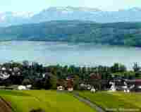 umzug Meisterschwanden l�scher