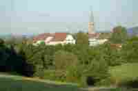 UMZUG M�nchenbuchsee Bild 3