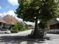 umzug Niederhasli l�scher umz�ge