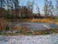 UMZUG OBERWIL Bild 2