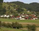 UMZUG Reiden Bild 4