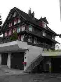 UMZUG Risch Bild 3