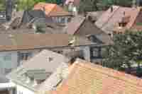 UMZUG Roggwil Bild 9