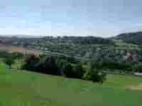 UMZUG rudolfstetten-friedlisberg 