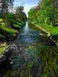 umzug R�mlang l�scher