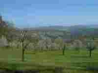 UMZUG Seltisberg Bild 5