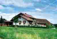 UMZUG Sins Bild 5