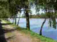 UMZUG Sisseln BILD 5