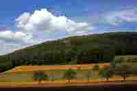 UMZUG Starrkirch-Wil mit L�scher Umz�ge bild