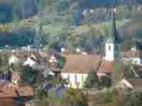 umzug Therwil l�scher