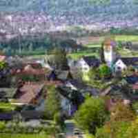 UMZUG Uitikon Bild 2