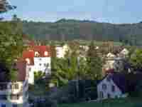 umzug Urdorf bild