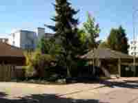 umzug Urtenen-Sch�nb�hl bild