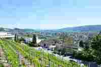UMZUG Wettingen bild