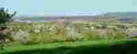 UMZUG Witterswil Bild 8