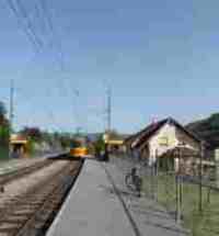 UMZUG Witterswil Bild 9