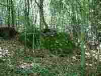 umzug Wohlenschwil l�scher umz�ge