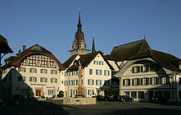 umzug zofingen luescher
