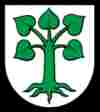 umzugsfirma auw umzug auw bild