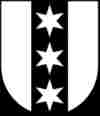 UMZUG BINNINGEN Bild wappen