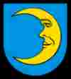 UMZUG BOSWIL Bild wappen