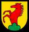 umzug Dottikon bild
