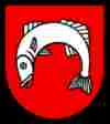 umzugsfirma fischbach-goeslikon bild 
