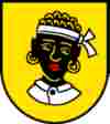 umzugsfirma flumenthal umzug flumenthal bild