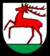 umzugsfirma hirschthal umzug hirschthal bild