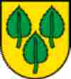 UMZUG Kriegstetten Bild 2