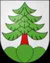 wappen umzug lengnau