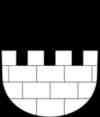 UMZUG Maur Bild 2