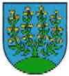 umzug l�scher meierskappel2