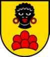 UMZUG M�riken-Wildegg Bild 5
