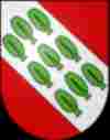 UMZUG M�nchenbuchsee Wappen