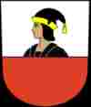 umzug Niederhasli wappen