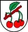 umzug Nuglar-St. Pantaleon wappen